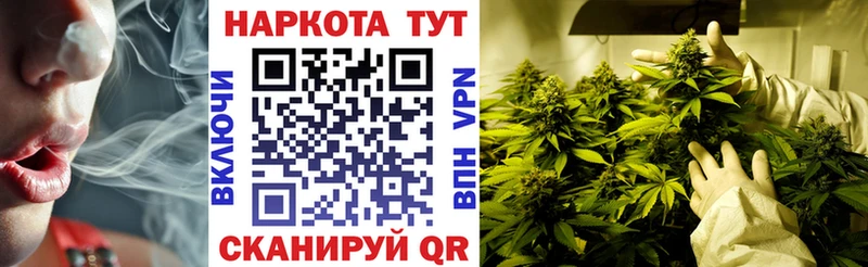 Наркошоп купить КОКАИН  МАРИХУАНА  Меф  ГАШ  Кингисепп