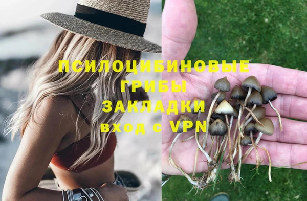 молекула духа Каменногорск