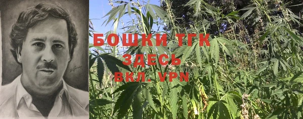 молекула духа Касимов