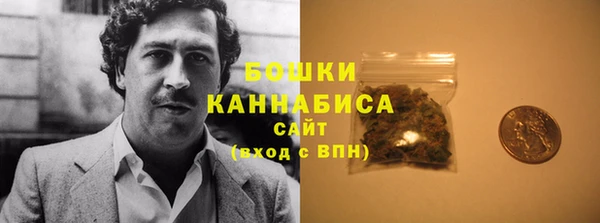 молекула духа Касимов
