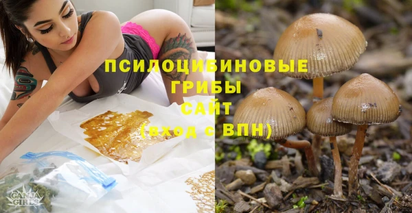 молекула духа Касимов