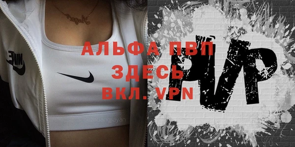 молекула духа Каменногорск