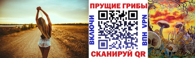 Галлюциногенные грибы прущие грибы  Купить закладки  Кингисепп 